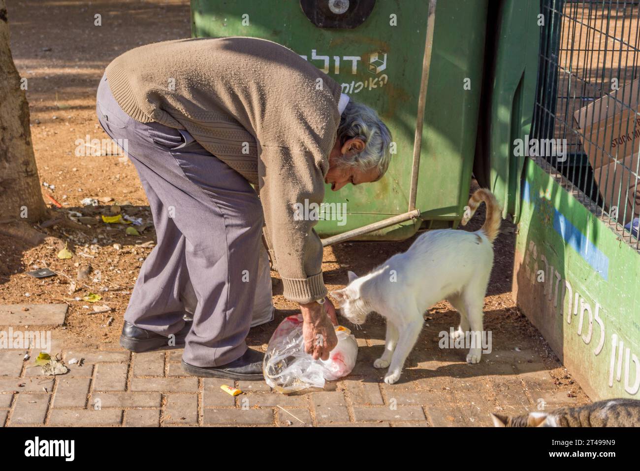 Tel Aviv, Israël - 20 octobre 2022 : l'homme du coin nourrit le chat errant dans les rues de tel Aviv en Israël. Banque D'Images