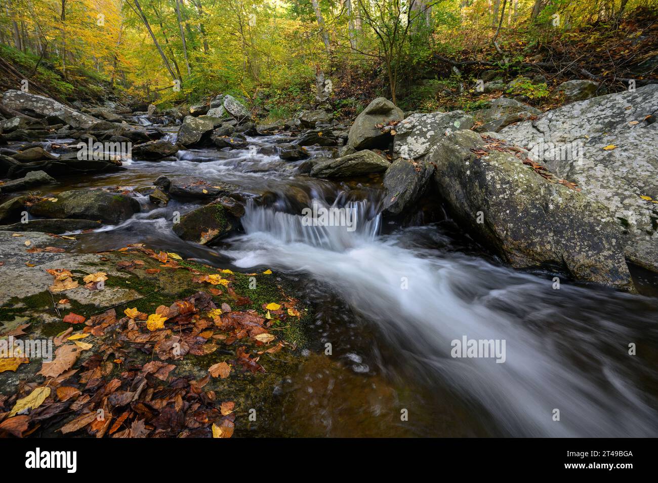 Big Hunting Creek dans les montagnes Catoctin entouré par les couleurs automnales des arbres en automne. Banque D'Images