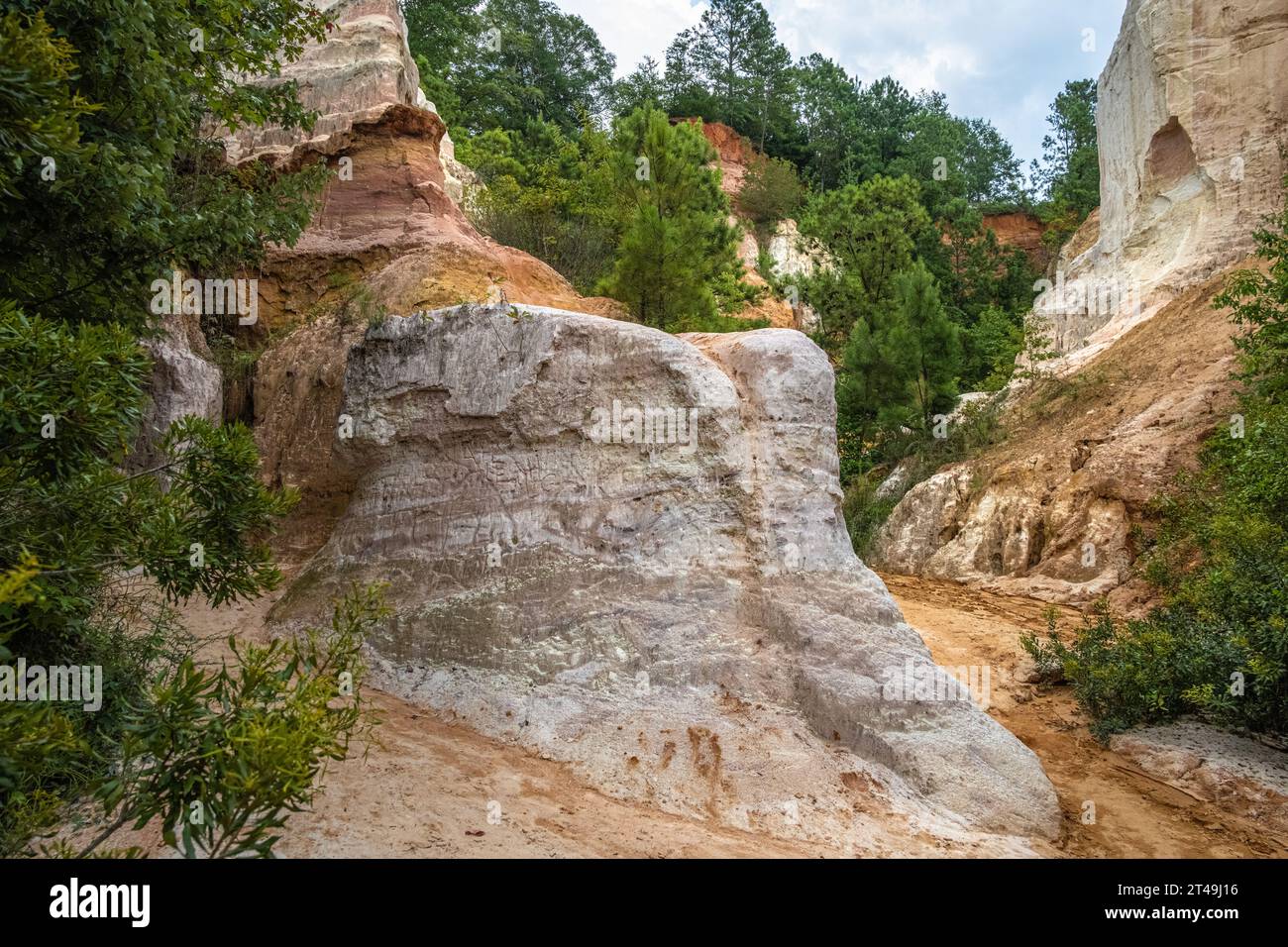 Canyon Bottom Trail au Providence Canyon State Park à Lumpkin, Goergia, au sud de Columbus. (ÉTATS-UNIS) Banque D'Images
