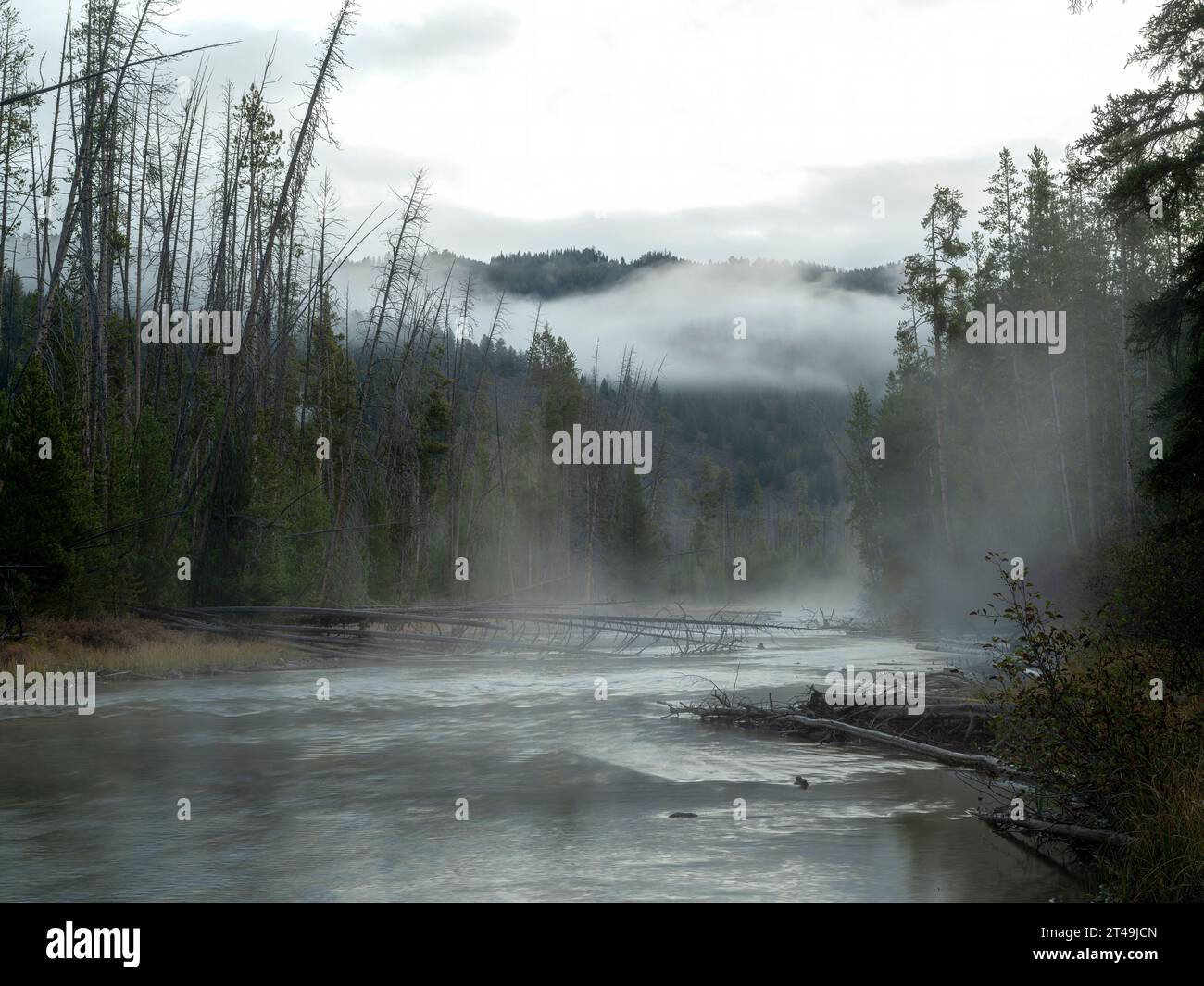 Matin d'automne froid dans la nature sauvage de l'Idaho Banque D'Images
