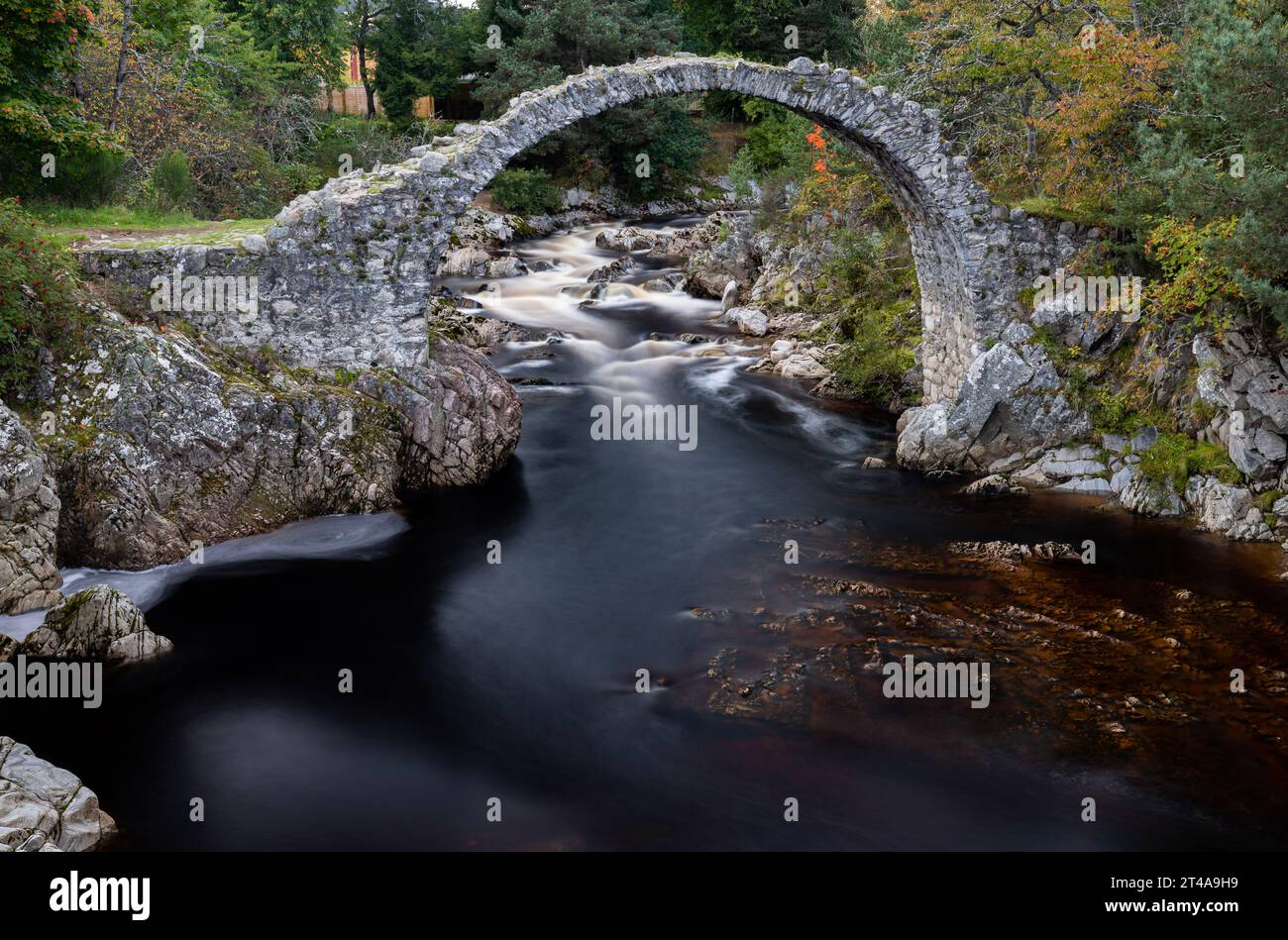 Carrbridge Packhorse Bridge dans les Highlands, Écosse, Royaume-Uni Banque D'Images