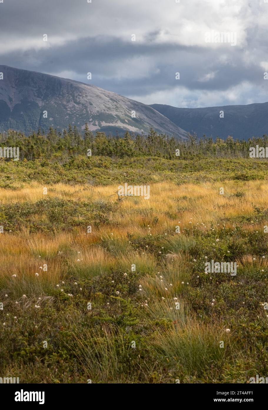 Fjords dans gros Morne avec des nuages d'orage au-dessus des montagnes lointaines Banque D'Images