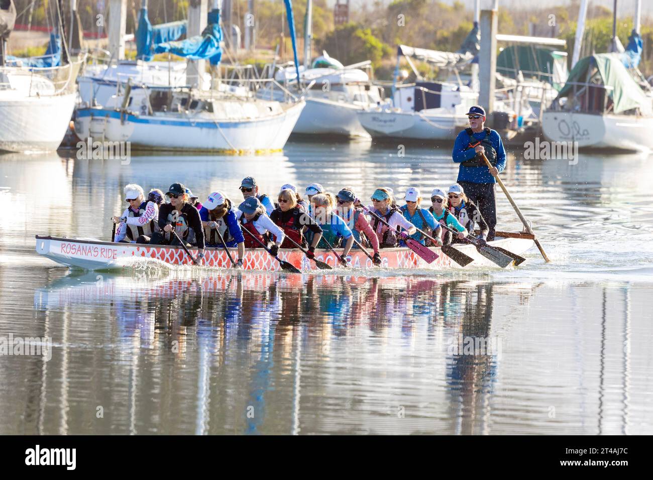 Association des bateaux dragons de la côte centrale Banque D'Images