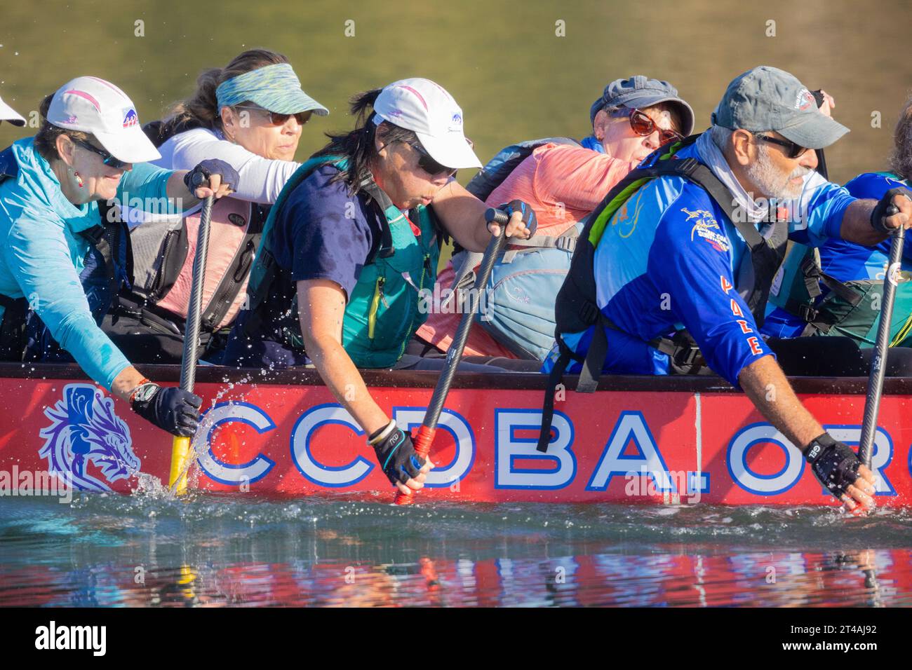 Association des bateaux dragons de la côte centrale Banque D'Images