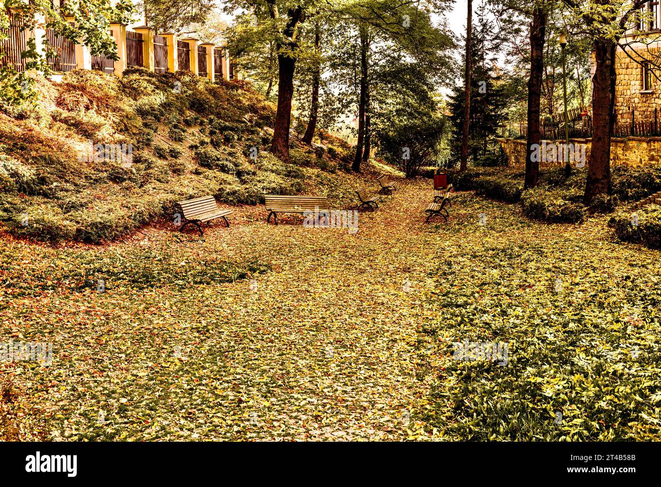 Beau parc d'automne avec des bancs et des feuilles tombées. Tonalité de couleur appliquée. Banque D'Images