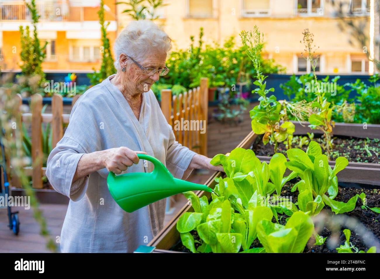 Femme aînée arrosant des plantes dans un jardin en gériatrie Banque D'Images