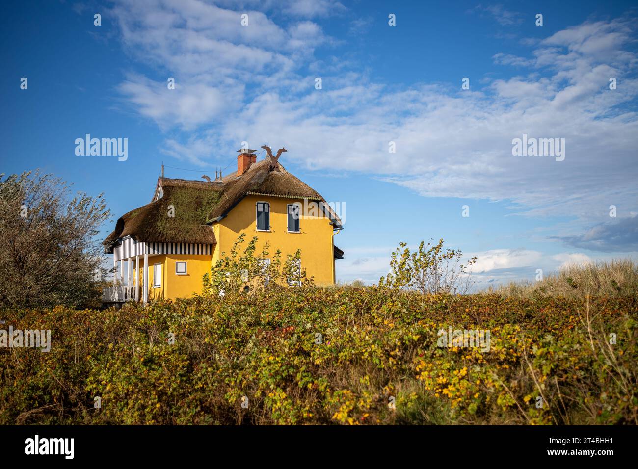 Gelbes Ferienhaus in den Dünen. Heiligenhafen, Schleswig-Holstein, Kreis Ostholstein, Halbinsel Wagrin, Ostsee, Urlaub, Tourisme, Ausflug, Fehmarn *** Maison de vacances jaune dans les dunes Heiligenhafen, Schleswig Holstein, district Ostholstein, péninsule de Wagrin, Mer Baltique, vacances, tourisme, voyage, Fehmarn crédit : Imago/Alamy Live News Banque D'Images