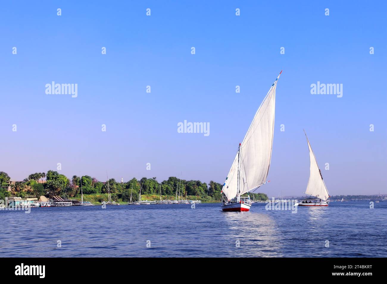 Bateau à voile traditionnel felouque, fleuve du Nil près d'Assouan, Egypte. Une attraction touristique célèbre - promenade en bateau à voile Banque D'Images
