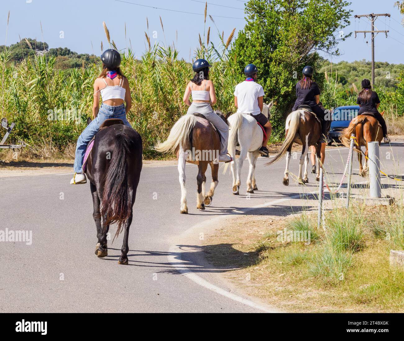 Poney trekking le long de la côte nord de Corfou à Agios Spiridonas - Îles Ioniennes Grèce Banque D'Images