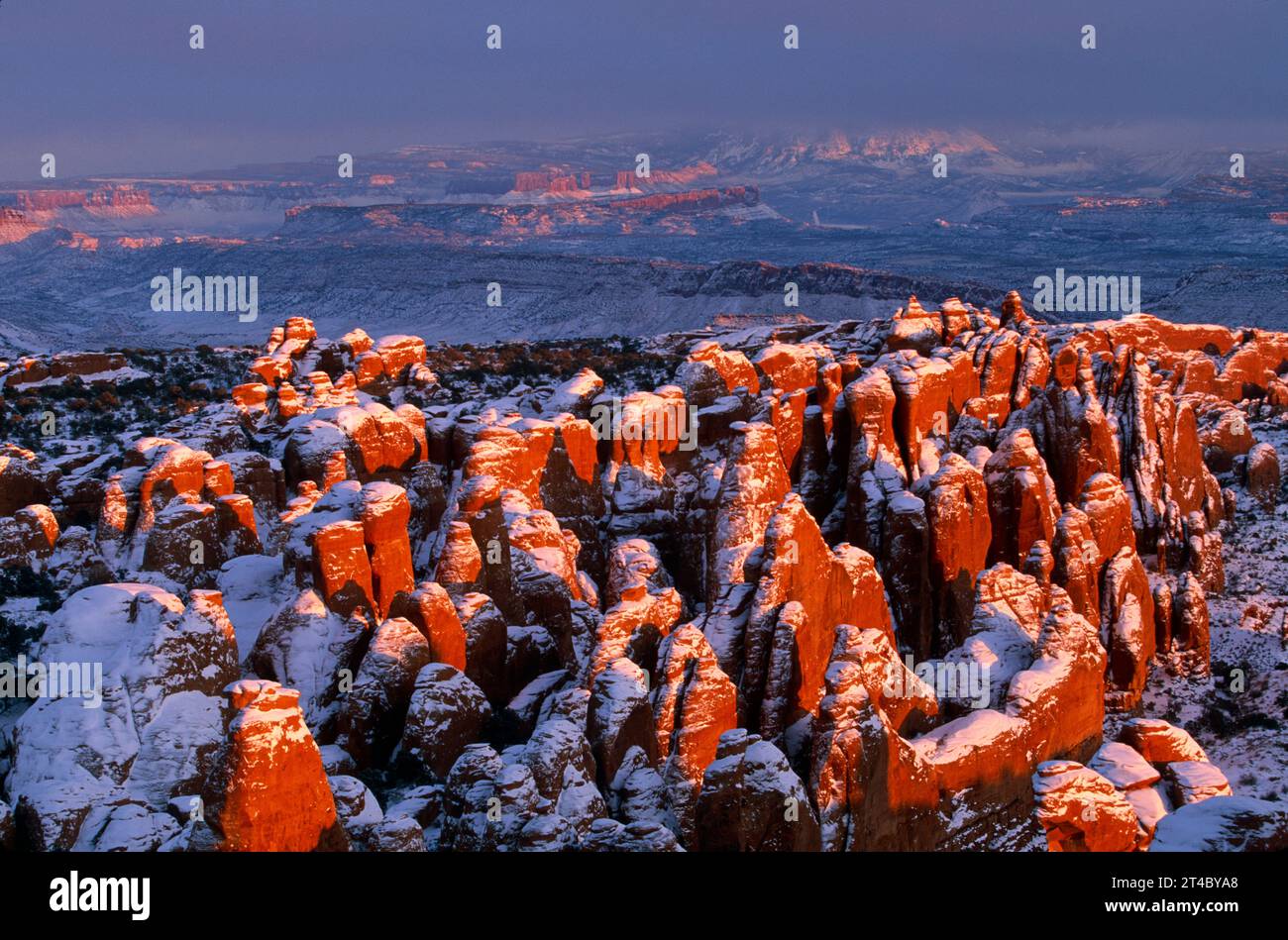 Nageoires de grès en hiver au coucher du soleil, parc national des Arches, Utah. Banque D'Images