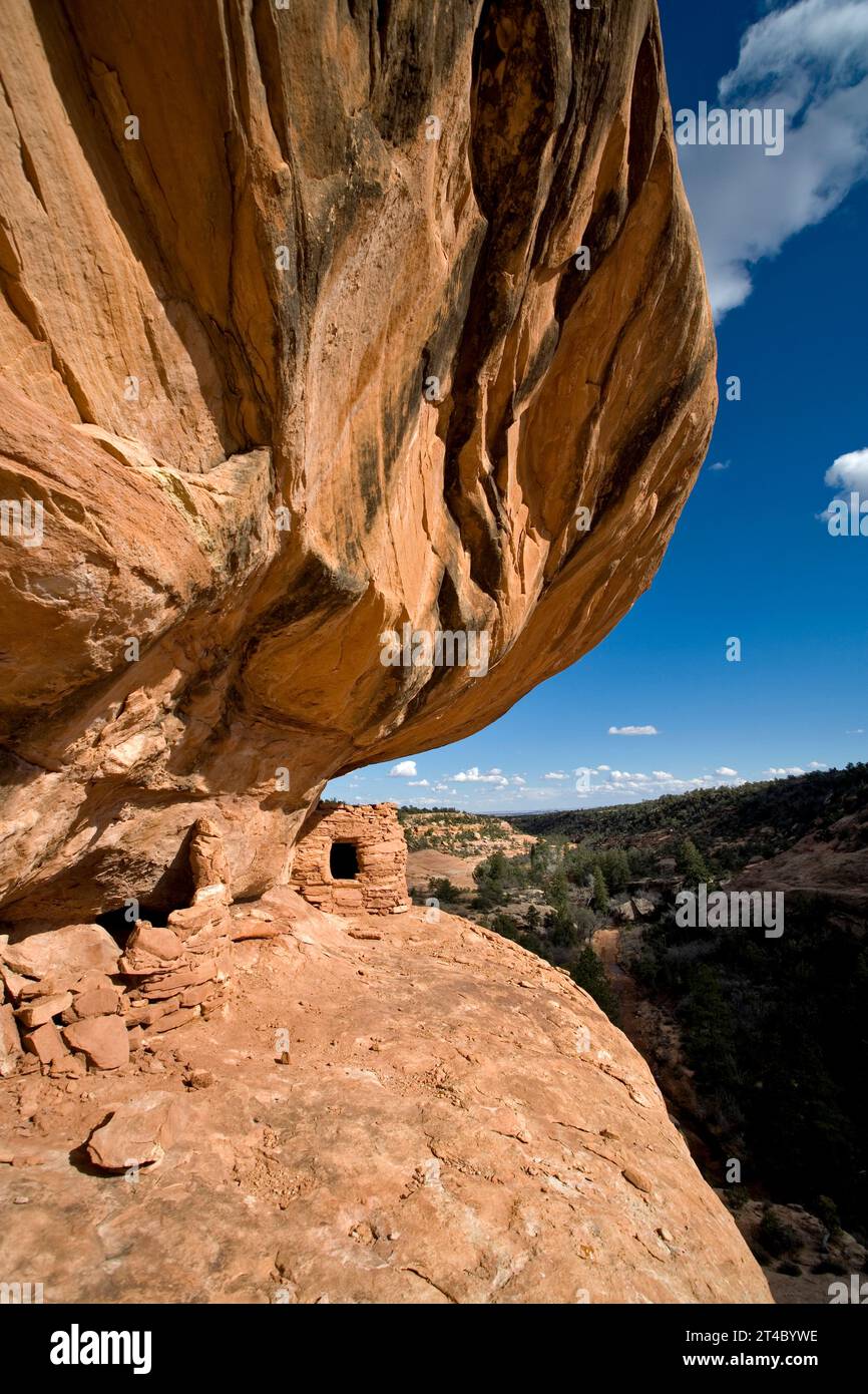 Ruines indiennes à North Fork de Mule Canyon dans la région de Cedar Mesa dans l'Utah. Banque D'Images