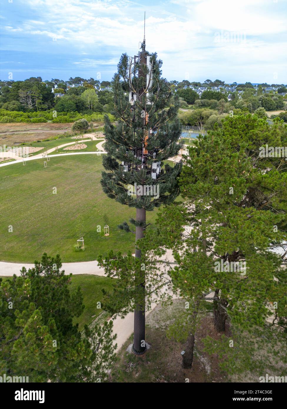 Vue aérienne d'une antenne relais de téléphone portable camouflée en faux arbre (France). Mât de téléphone portable déguisé en pin. Banque D'Images