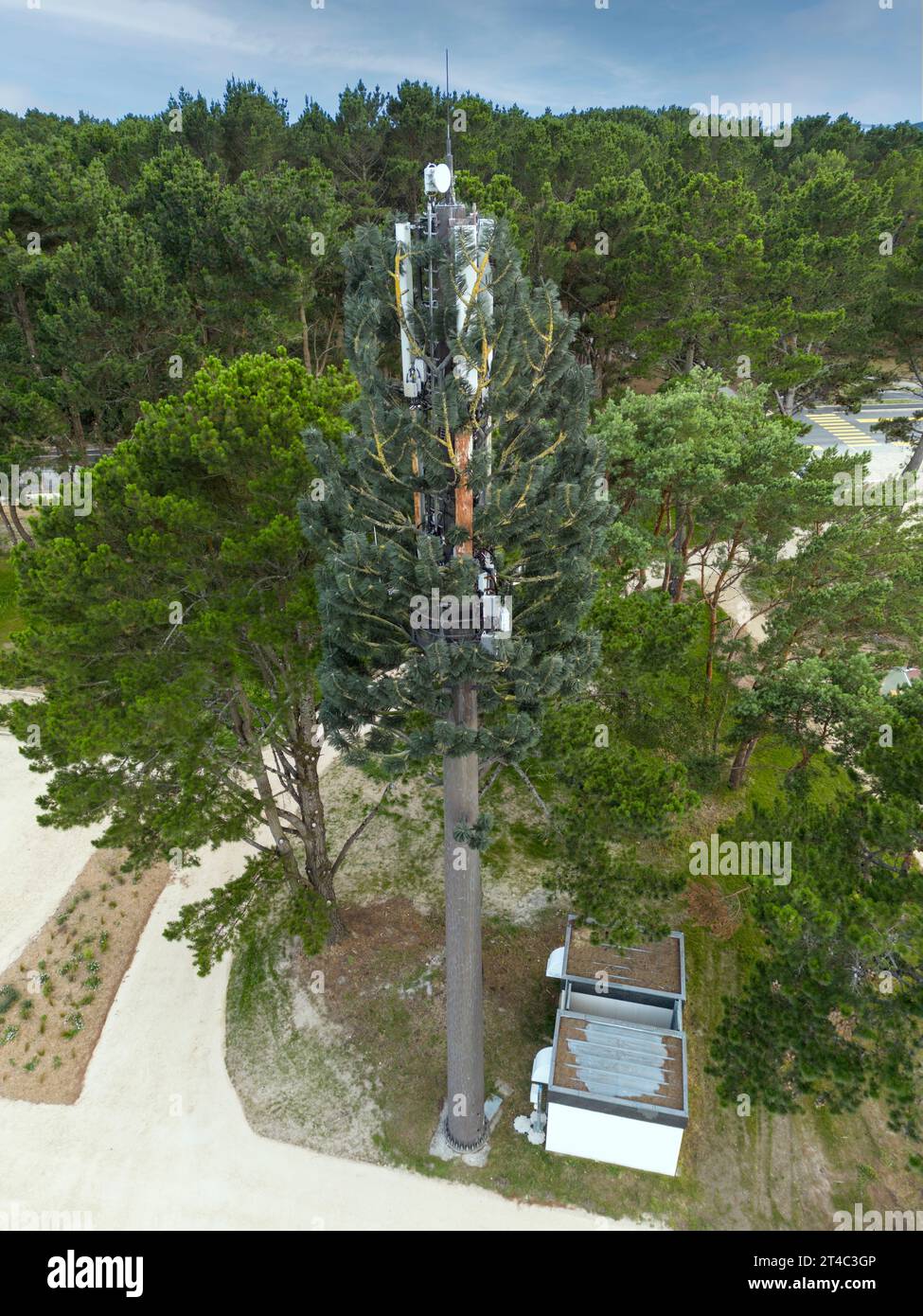 Vue aérienne d'une antenne relais de téléphone portable camouflée en faux arbre (France). Mât de téléphone portable déguisé en pin. Banque D'Images