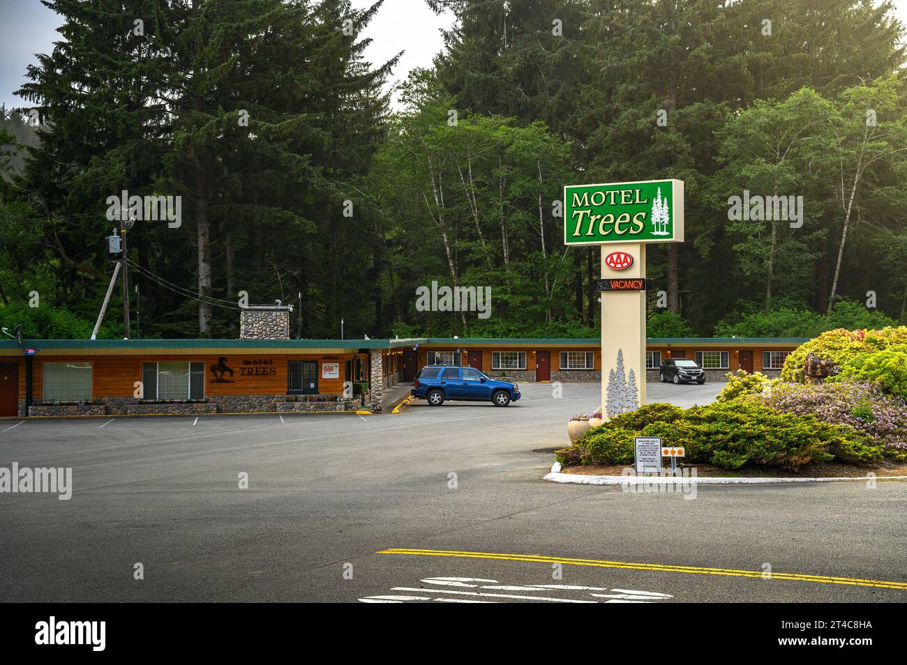 Motel Trees à Klamath, Californie, enveloppé par la forêt du parc national de Redwood Banque D'Images