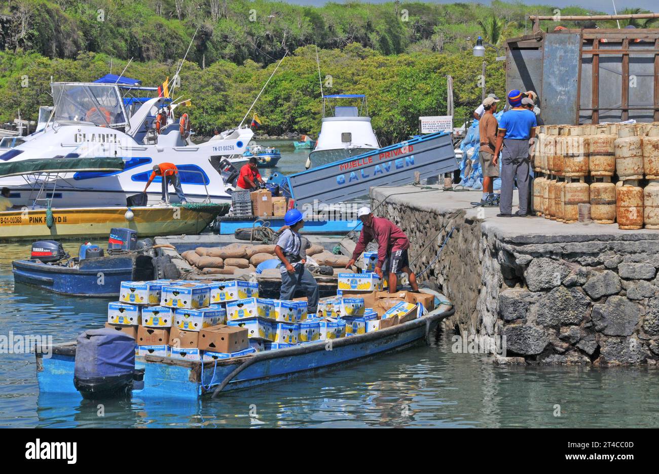 Port, Puerto Isidro Ayora, île de Santa Cruz, Galapagos, Équateur Banque D'Images