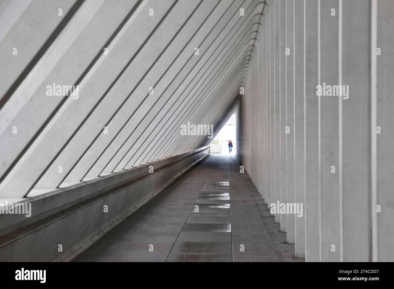 Gare de Liège-Guillemins, allée dans la gare, Belgique, Wallonie, Luettich Banque D'Images