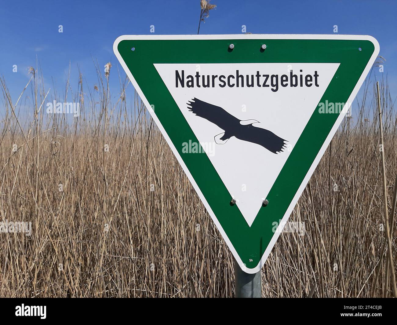 Panneau de protection de la nature devant la zone des roseaux, Allemagne Banque D'Images
