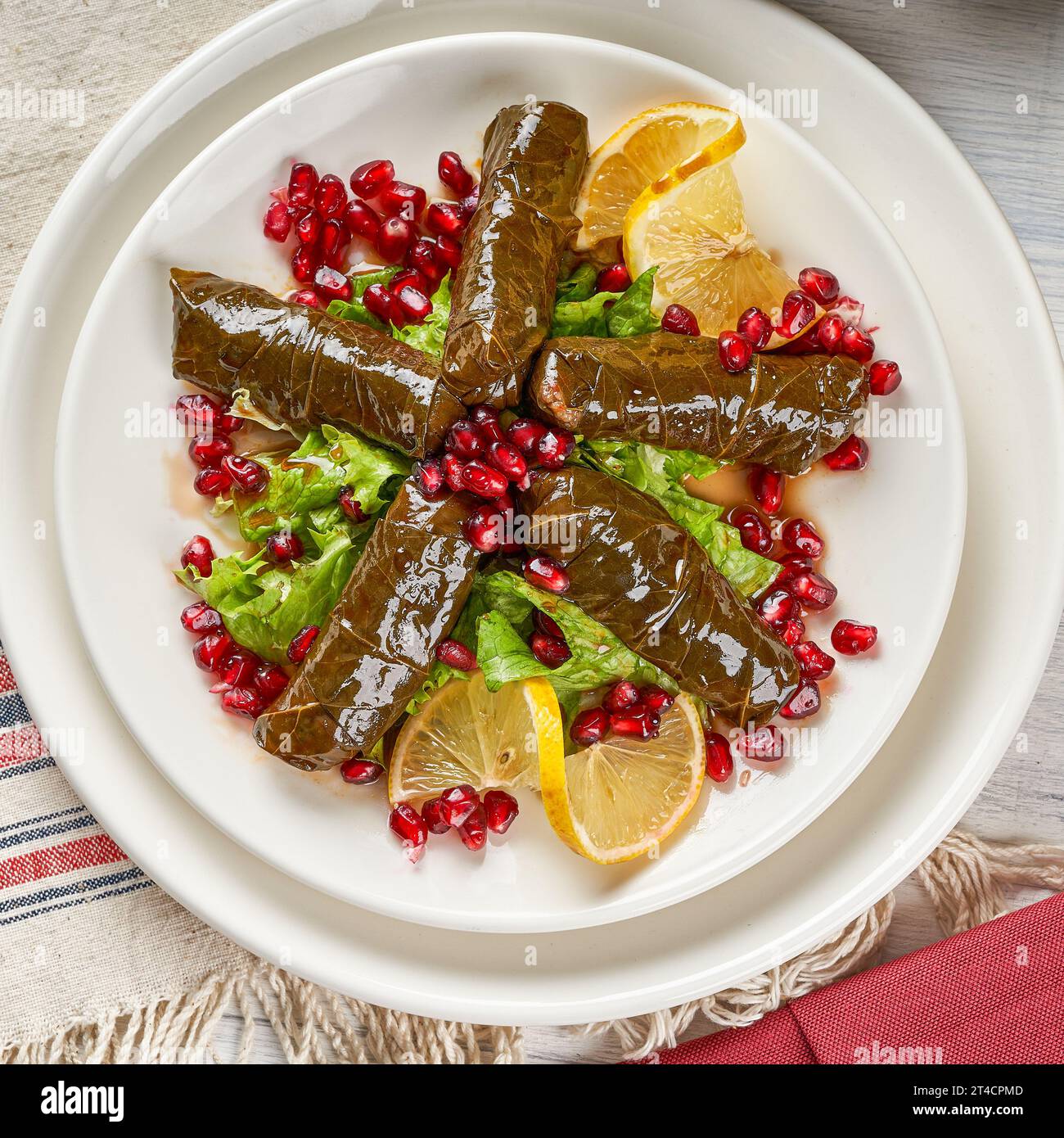Rouleaux de feuilles de raisin farcis de riz et de viande, un plat d'apéritif turc-arabe populaire Banque D'Images