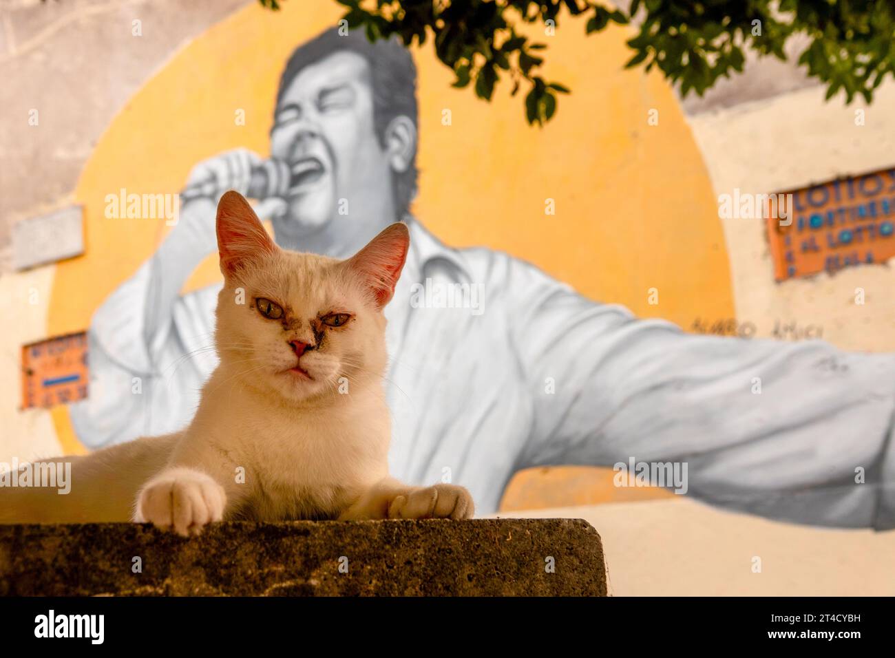 Chat devant la fresque dédiée au 'stornellatore' Alvaro Amici dans le quartier de Garbatella, Rome, Italie Banque D'Images