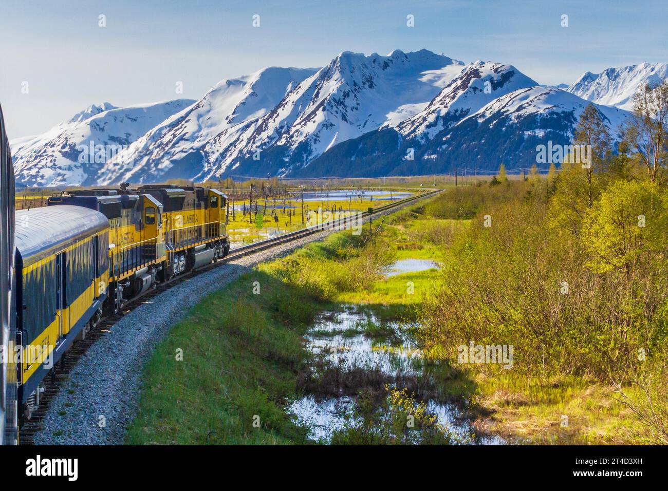 L'incroyable trajet en train panoramique de l'Alaska Railroad à travers les immenses forêts nationales, les montagnes Chugach et les montagnes Kenai. Banque D'Images