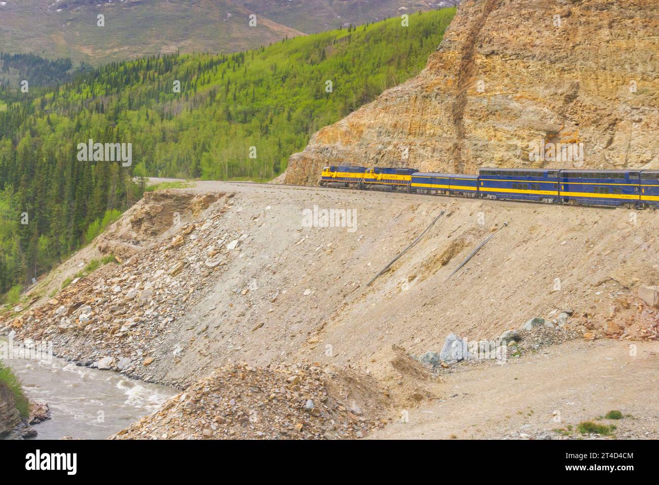 Alaska Railroad (avec Holland America wagons) escalade vers le parc national Denali, suivant la rivière Nenana lit. Banque D'Images