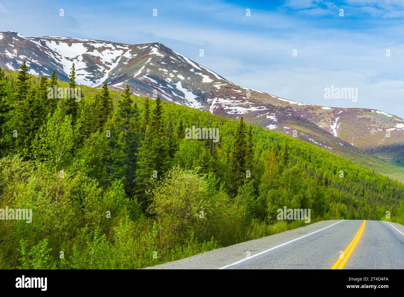 Chaîne de montagnes de l'Alaska visible depuis la route de l'Alaska (ou Alcan) en Alaska. Banque D'Images