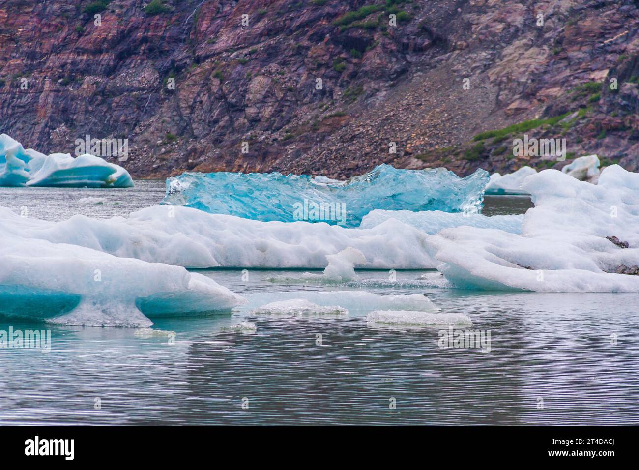 Le glacier Mendenhall est un glacier de 12 km de long dans la vallée de Mendenhall, à environ 12 km du centre-ville de Juneau. C'est une attraction touristique majeure. Banque D'Images