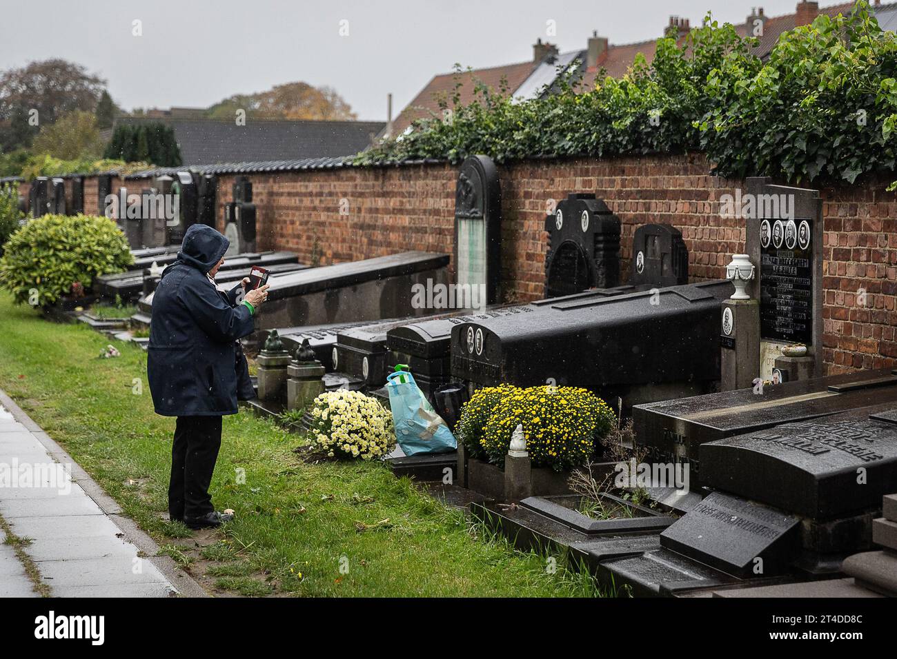 L'illustration montre les préparatifs pour la Toussaint Day au cimetière 'Campo Santo' à Sint-Amandsberg, Gand, le lundi 30 octobre 2023. La Toussaint est une fête chrétienne célébrée le 1 novembre. Les gens visitent les tombes de leurs proches et apportent des fleurs, souvent des chrysanthèmes, pour décorer les tombes. BELGA PHOTO JAMES ARTHUR GEKIERE Banque D'Images