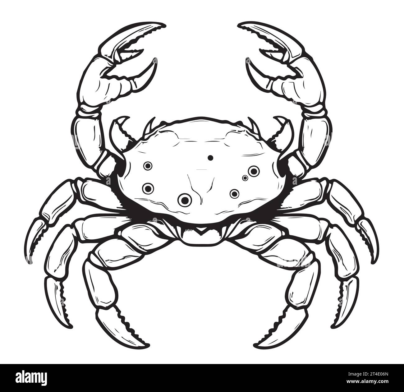 Croquis dessiné à la main de crabe dans le livre de coloriage de style comique Zodiac Illustration de Vecteur