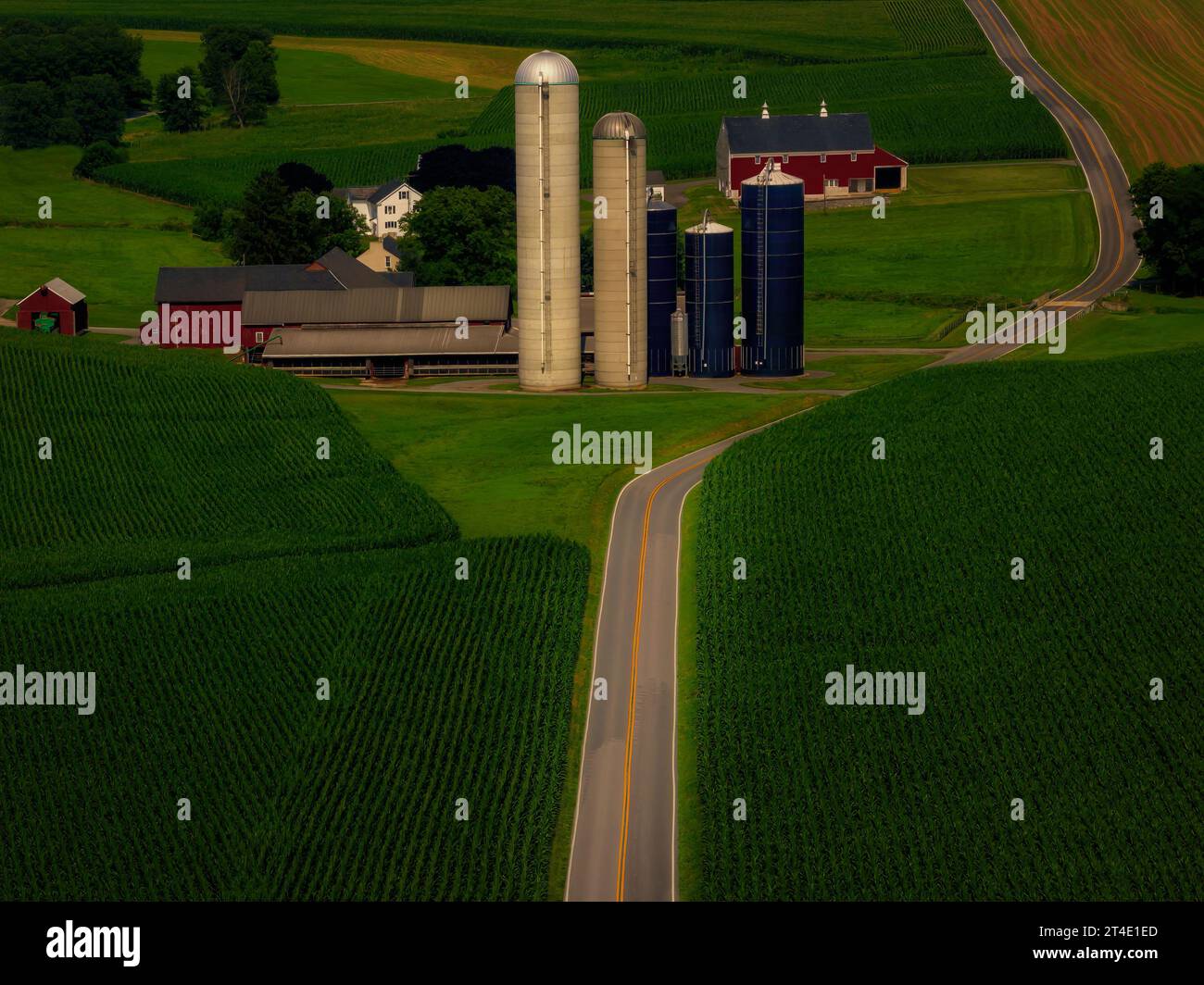 Fermes Lancaster PA - vue aérienne des champs de maïs aussi loin que les yeux peuvent voir, granges, silos terres agricoles. Banque D'Images