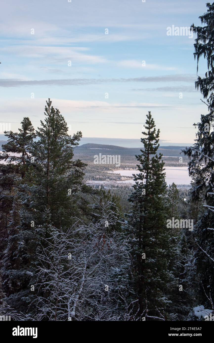 Paysage hivernal magique. Arbres enneigés. Helsinki. Finlande. Photographié avant le coucher du soleil en décembre. Banque D'Images