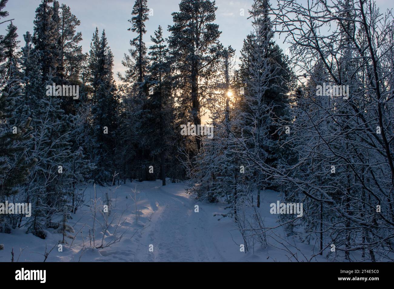 Paysage hivernal de la ville de Jukkasjarvi, Suède. Situé dans le nord de la Suède dans la municipalité de Kiruna. Province de Laponie. Banque D'Images