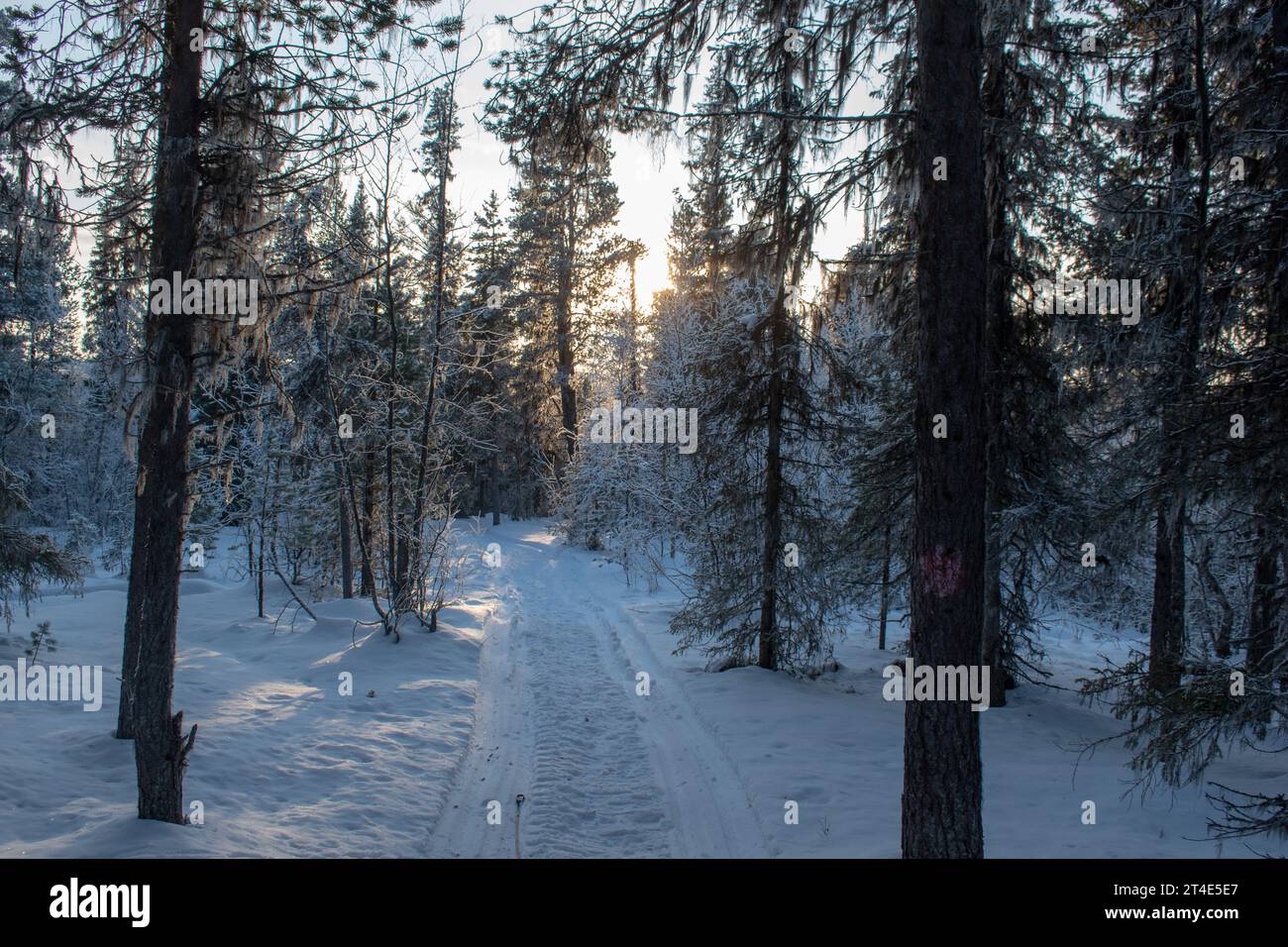 Paysage hivernal de la ville de Jukkasjarvi, Suède. Situé dans le nord de la Suède dans la municipalité de Kiruna. Province de Laponie. Banque D'Images