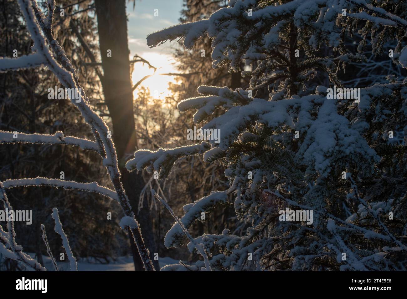 Paysage hivernal de la ville de Jukkasjarvi, Suède. Situé dans le nord de la Suède dans la municipalité de Kiruna. Province de Laponie. Banque D'Images