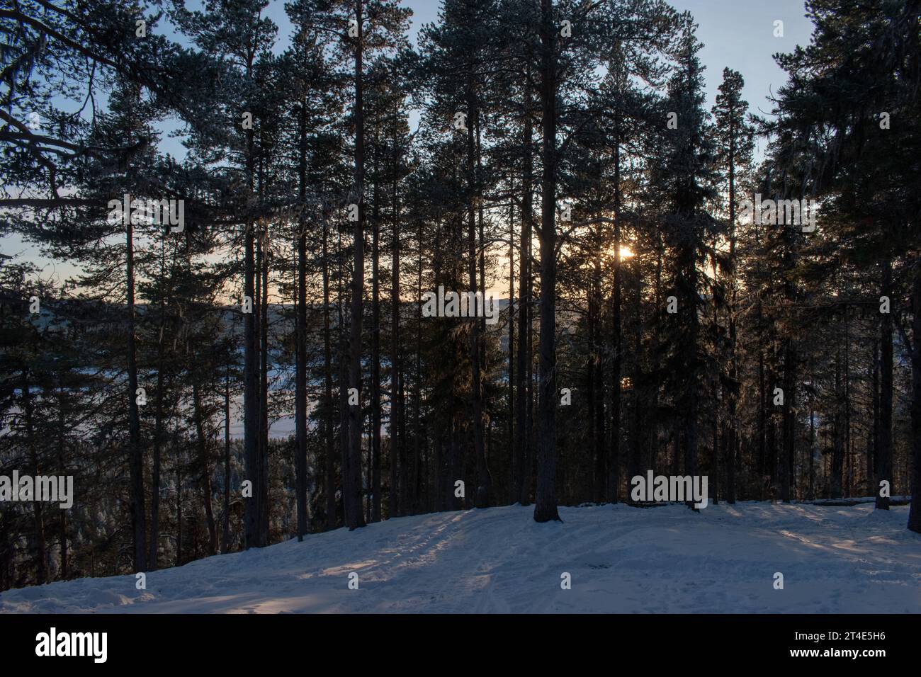 Paysage hivernal de la ville de Jukkasjarvi, Suède. Situé dans le nord de la Suède dans la municipalité de Kiruna. Province de Laponie. Banque D'Images