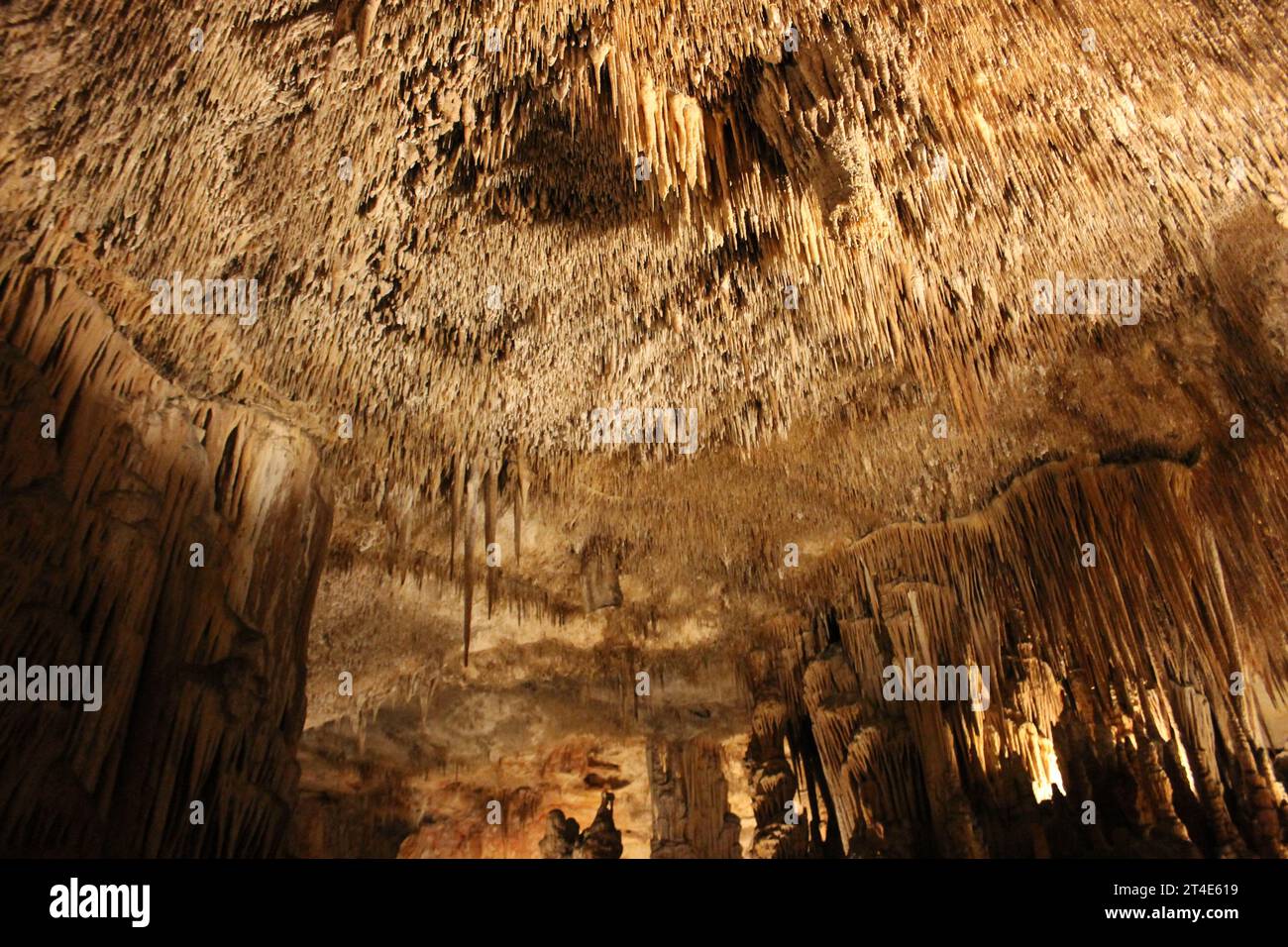 Cuevas del Drach (Grottes du Dragon), Porto Cristo, Majorque, Espagne Banque D'Images