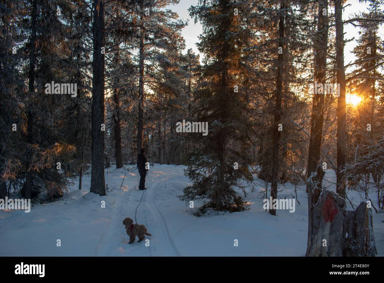 Paysage hivernal de la ville de Jukkasjarvi, Suède. Situé dans le nord de la Suède dans la municipalité de Kiruna. Province de Laponie. Banque D'Images