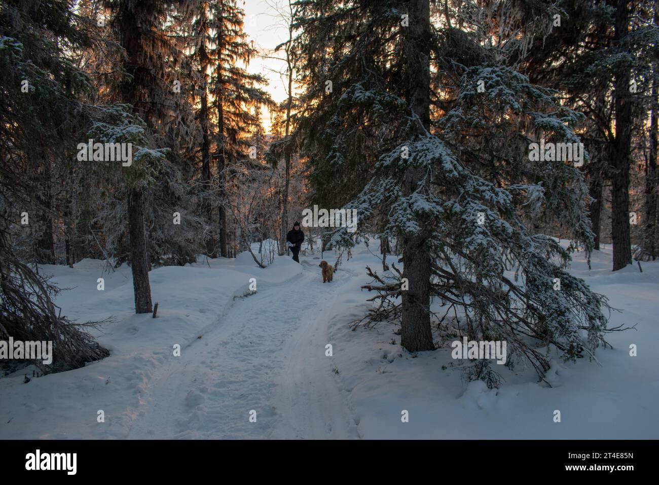 Paysage hivernal de la ville de Jukkasjarvi, Suède. Situé dans le nord de la Suède dans la municipalité de Kiruna. Province de Laponie. Banque D'Images