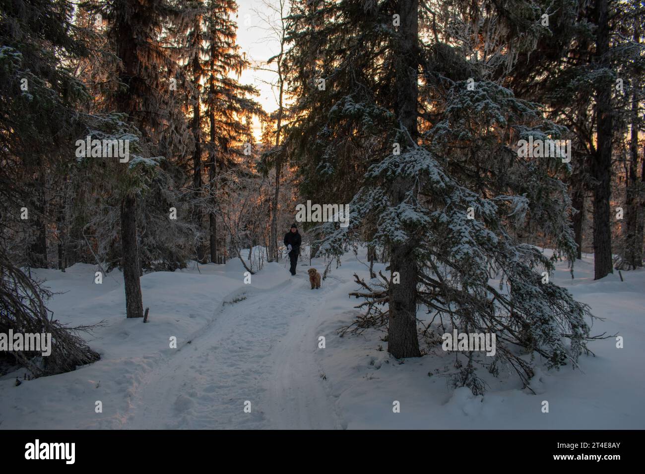 Paysage hivernal de la ville de Jukkasjarvi, Suède. Situé dans le nord de la Suède dans la municipalité de Kiruna. Province de Laponie. Banque D'Images