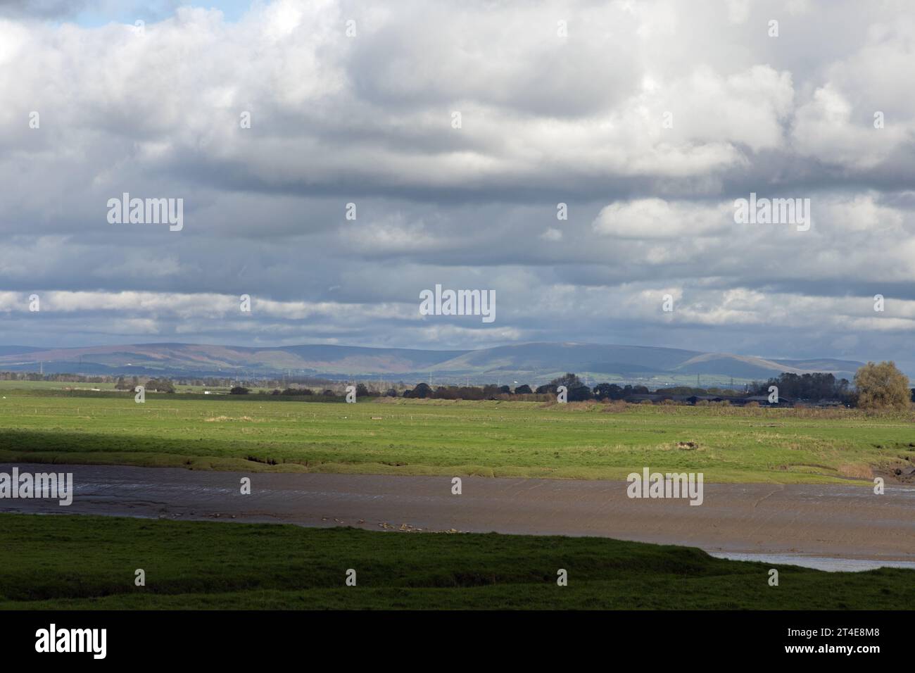 Terrain inondé et gorgé d'eau Becconsall hors du marais regardant vers la rivière Douglas à Hesketh Bank Lancashire Angleterre Banque D'Images