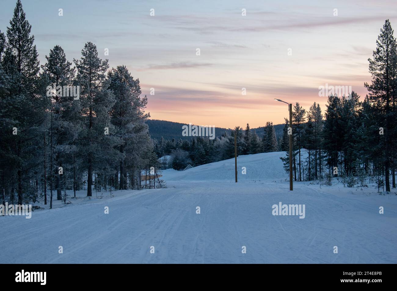 Paysage hivernal magique. Arbres enneigés. Helsinki. Finlande. Photographié avant le coucher du soleil en décembre. Banque D'Images