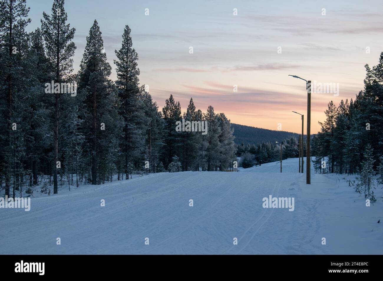 Paysage hivernal magique. Arbres enneigés. Helsinki. Finlande. Photographié avant le coucher du soleil en décembre. Banque D'Images