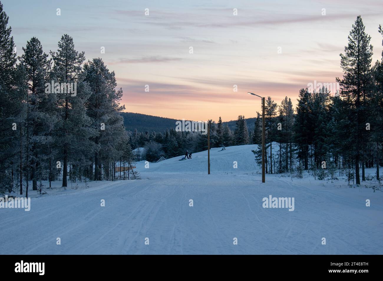 Paysage hivernal magique. Arbres enneigés. Helsinki. Finlande. Photographié avant le coucher du soleil en décembre. Banque D'Images