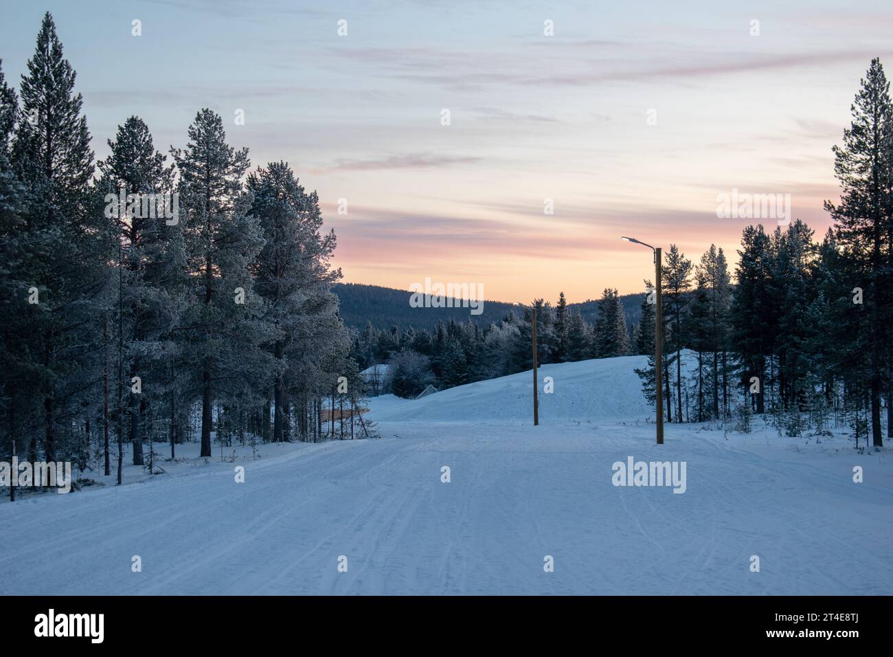 Paysage hivernal magique. Arbres enneigés. Helsinki. Finlande. Photographié avant le coucher du soleil en décembre. Banque D'Images