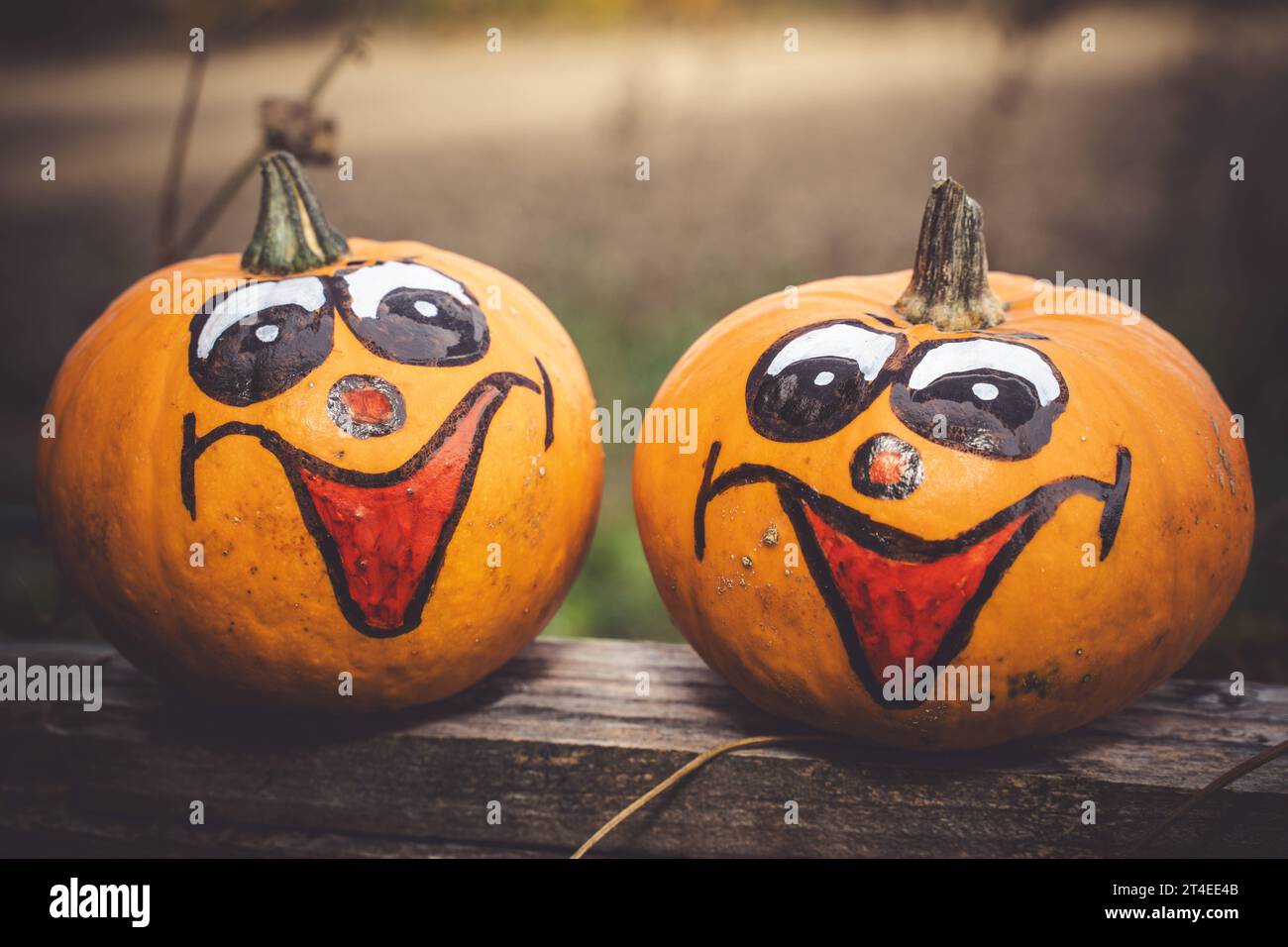 Augsburg, Bayern, Deutschland - 29 Oktober 2023 : Halloween Kürbisse mit bemalten Gesichtern *** citrouilles Halloween avec visages peints Credit : Imago/Alamy Live News Banque D'Images