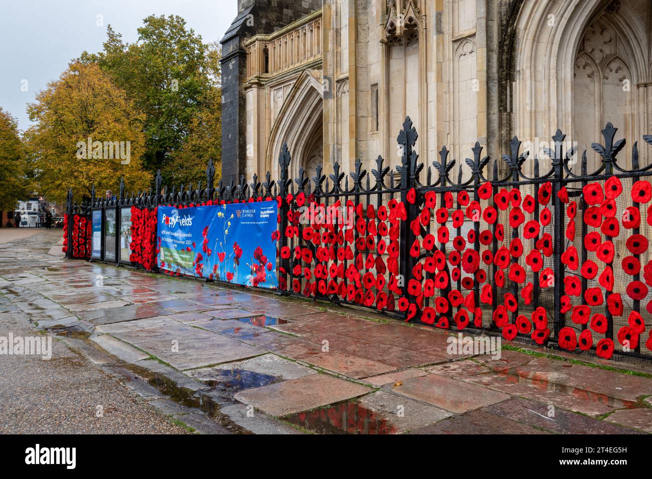 Décorations de coquelicots, coquelicots rouges autour de l'entrée de la cathédrale de Winchester, Hampshire, Angleterre, Royaume-Uni, octobre et novembre 2023 Banque D'Images