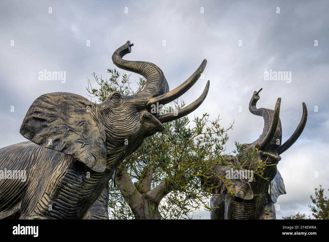 Sculptures d'éléphants de près photographiées au Shropshire Sculpture Park le 21 octobre 2023 à Oswestry. Banque D'Images