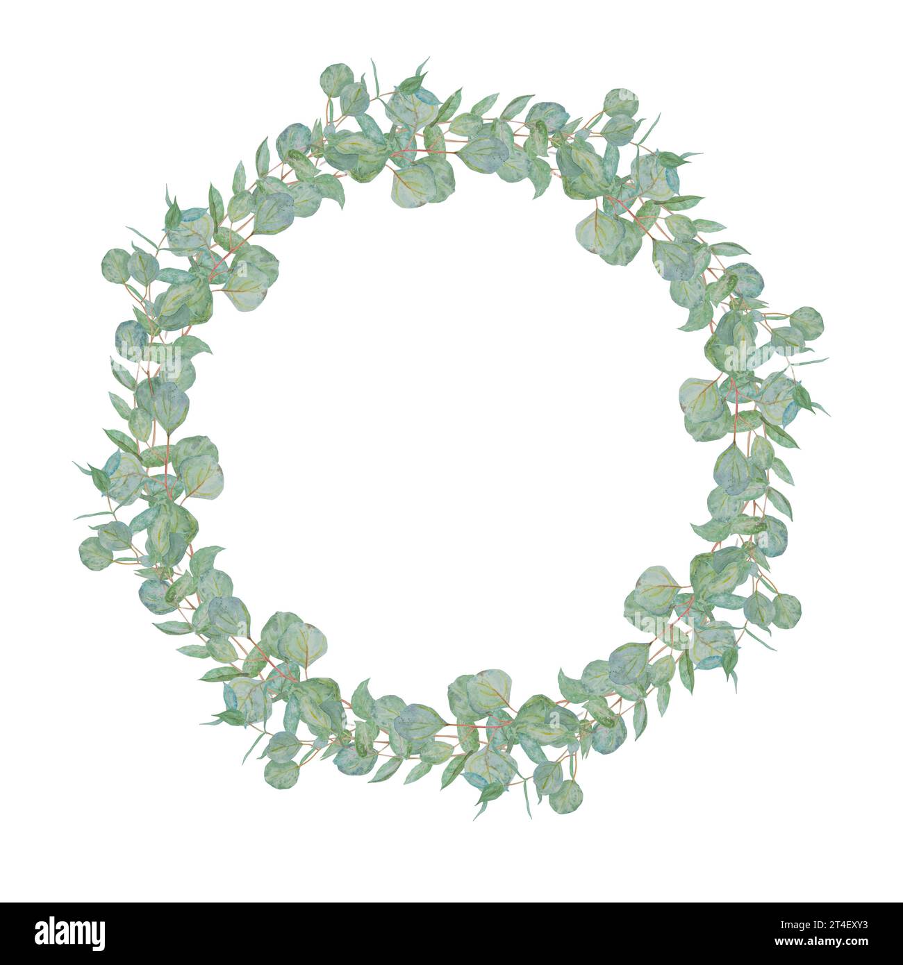 Cadre rond aquarelle de branches d'eucalyptus vert menthe. Illustration florale dessinée à la main pour invitations de mariage, produits imprimés, floristique, beauté Banque D'Images