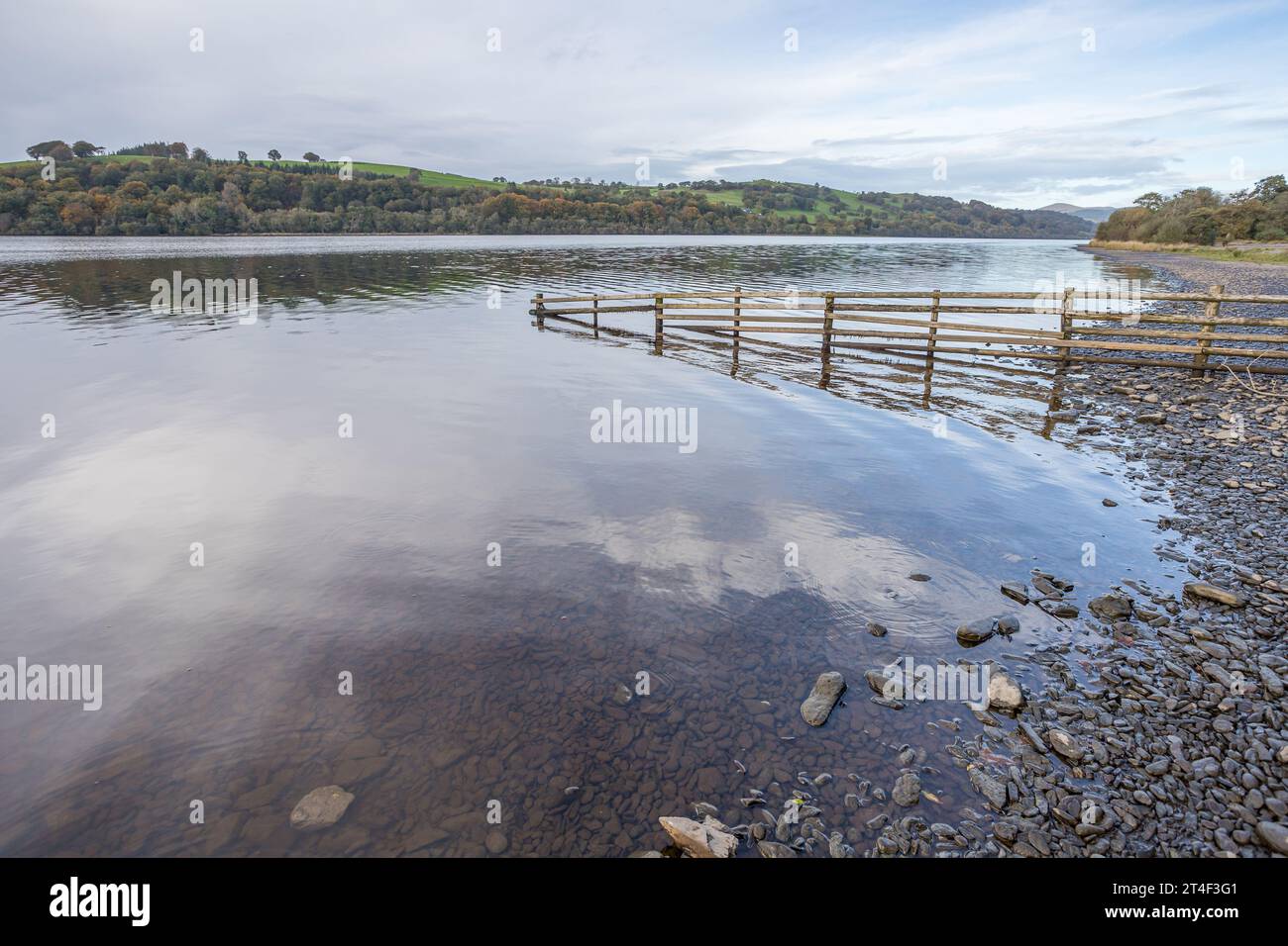 Des galets bordent le rivage du lac Bala tandis qu'une clôture en bois plonge dans l'eau dans le parc national de Snowdonia. Banque D'Images