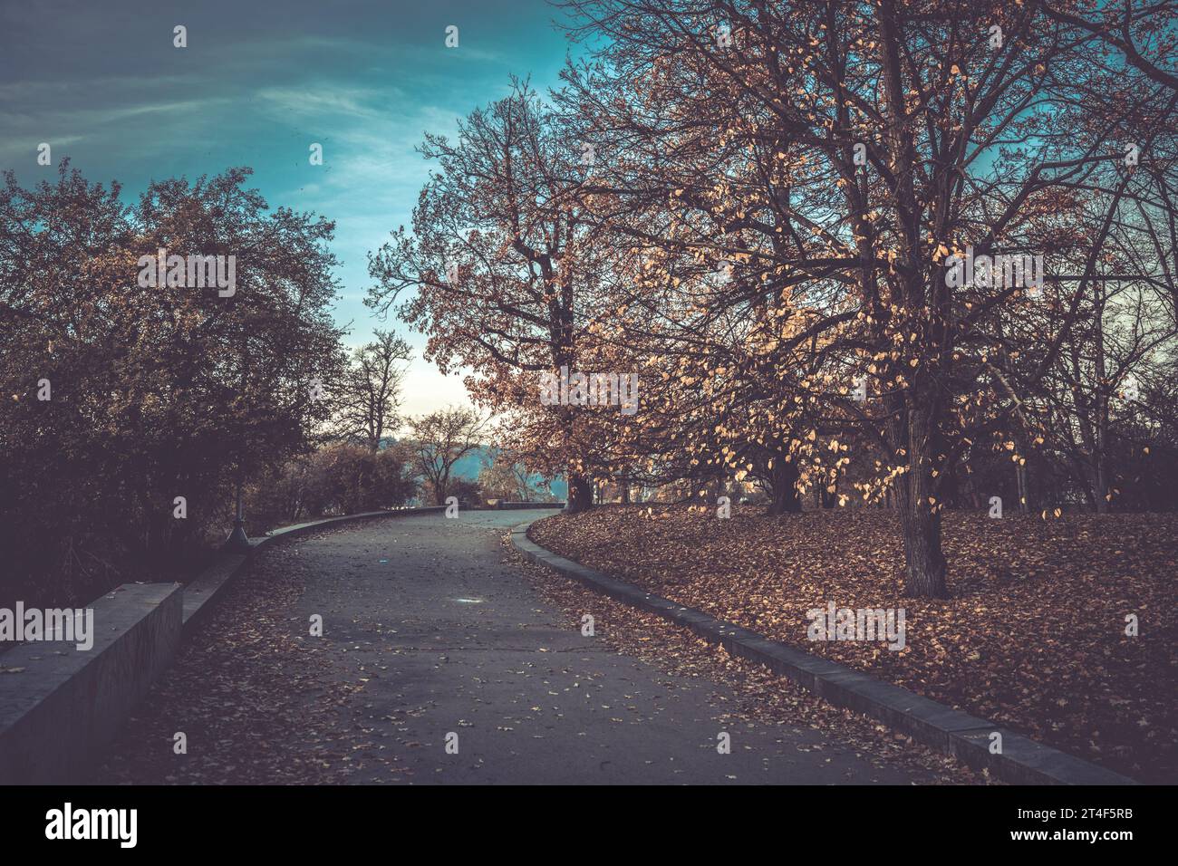 Heure d'automne dans les parcs Letna avec des arbres colorés, Prague, République tchèque Banque D'Images